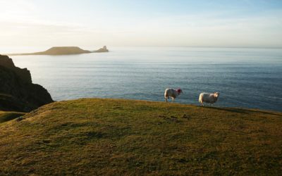 5 faits à connaître sur le Pays de Galles